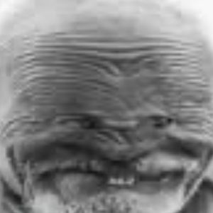 Meet your Posher, Noah